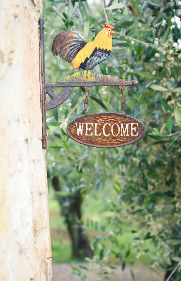 Casa Vacanze L'Oliveta Siena Exterior photo